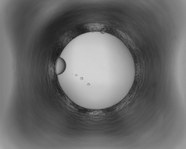 X0000116560761200912100943