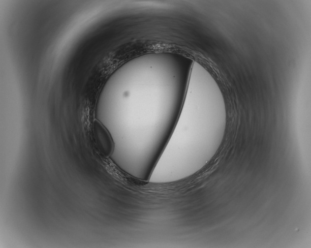 X0000116560762200912100943