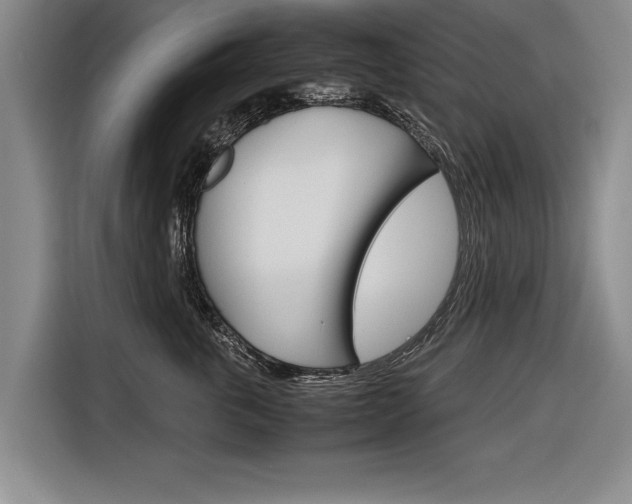 X0000116560763200912100943