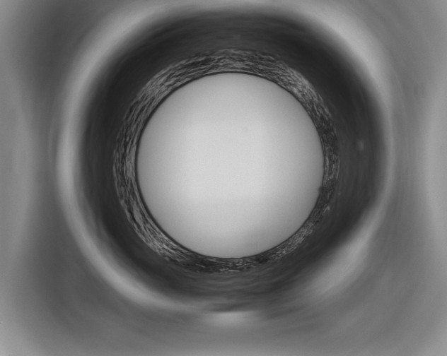 X0000116560765200912100943