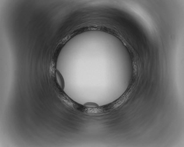 X0000116560766200912100943