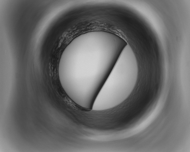 X0000116560767200912100943