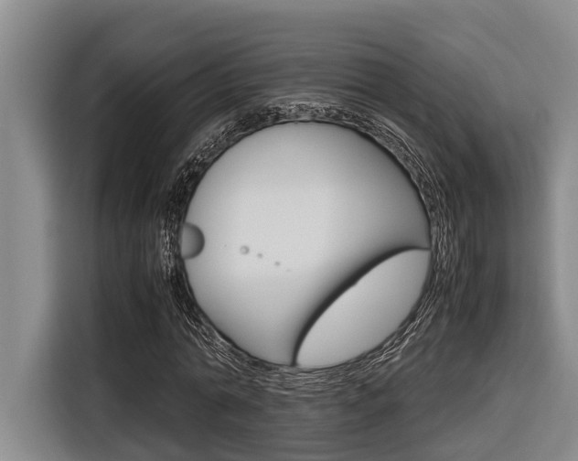X0000116560774200912100943
