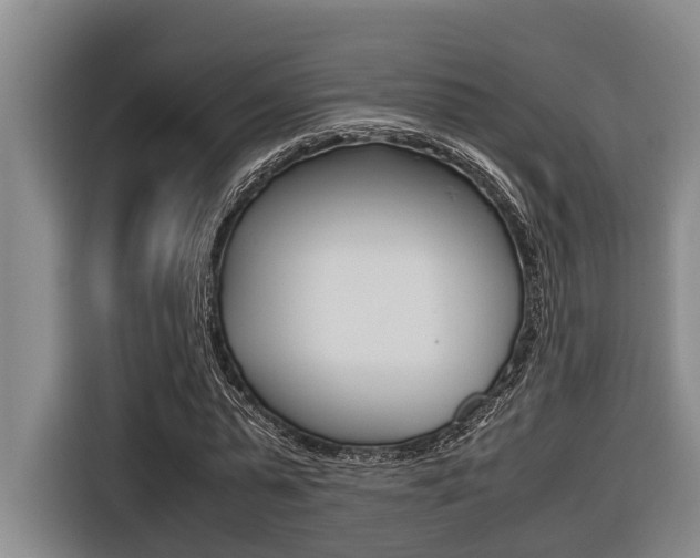 X0000116560775200912100942