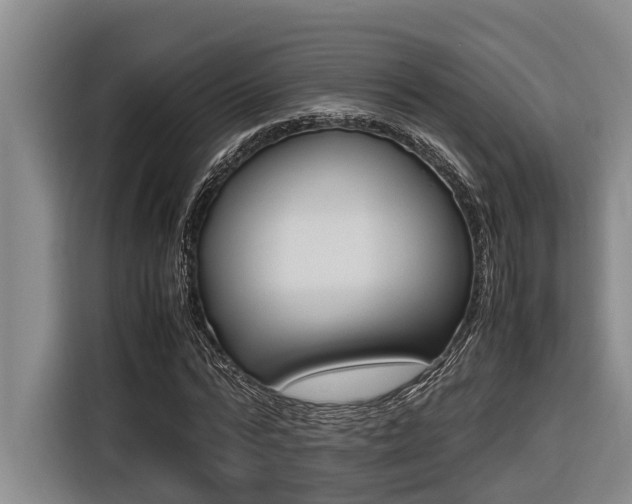 X0000116560776200912100942