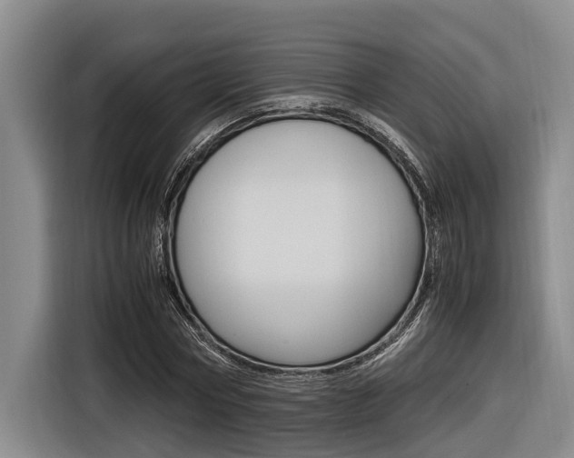 X0000116560778200912100942