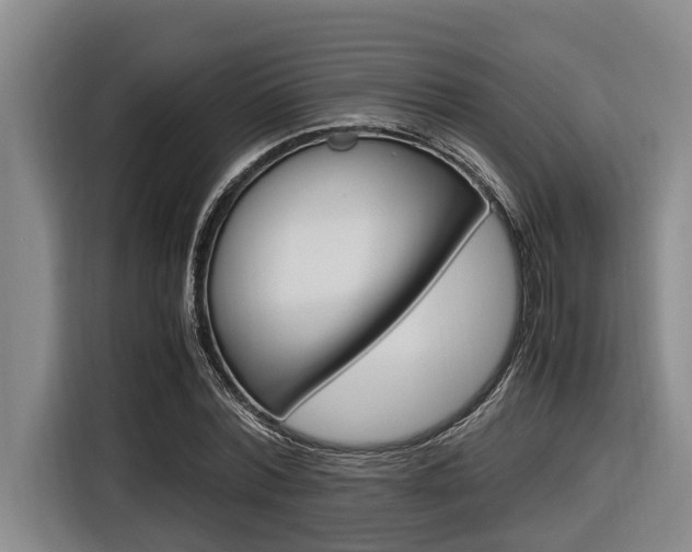 X0000116560780200912100942