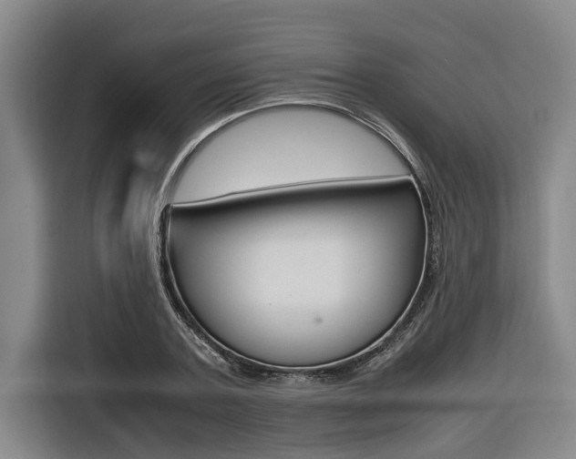 X0000116560787200912100942
