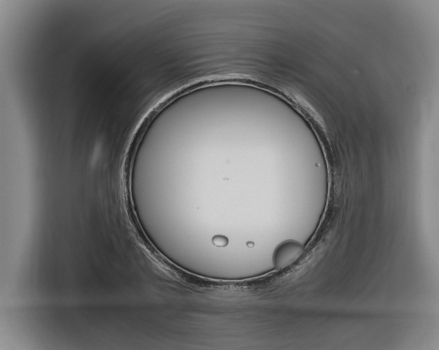 X0000116560789200912100942