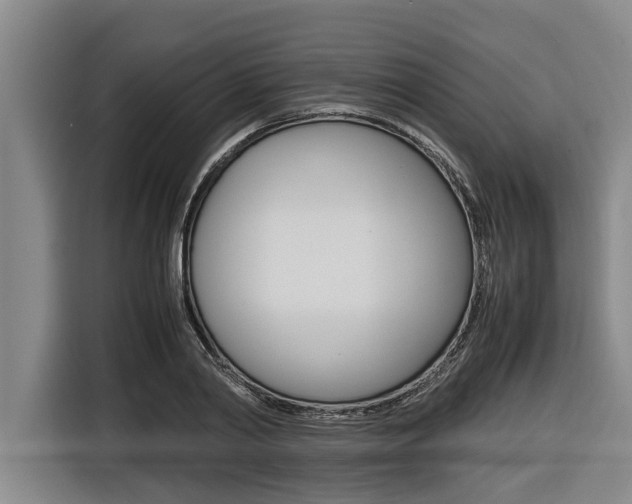 X0000116560790200912100942