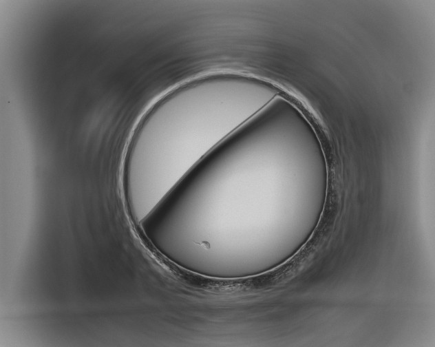 X0000116560791200912100942