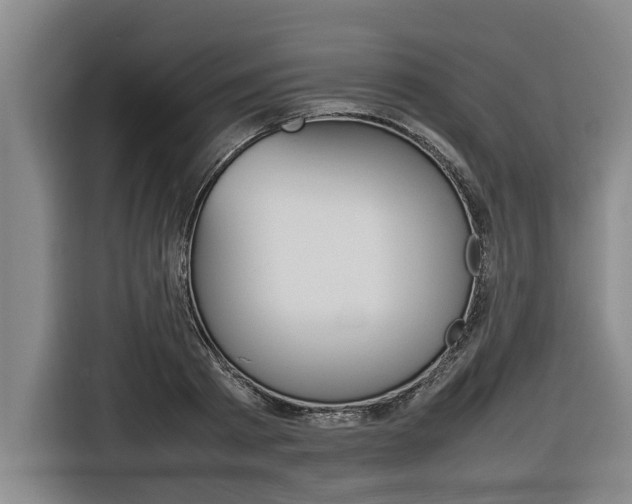 X0000116560793200912100942