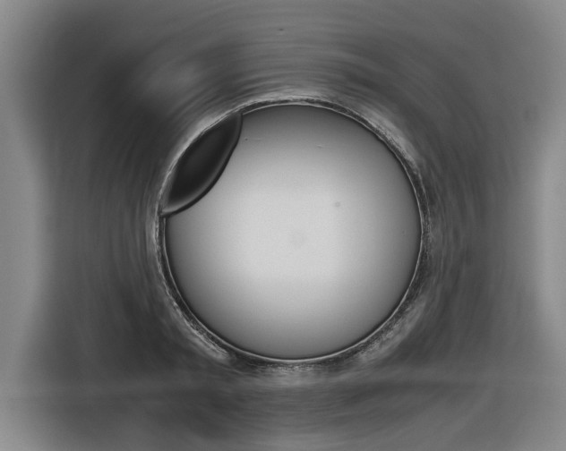 X0000116560797200912100942