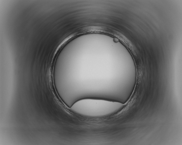 X0000116560798200912100942