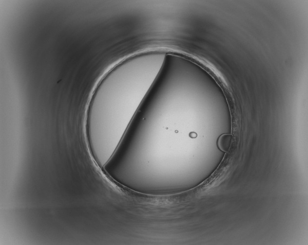 X0000116560799200912100942