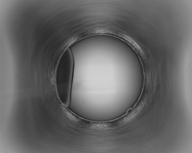 X0000116560801200912100942