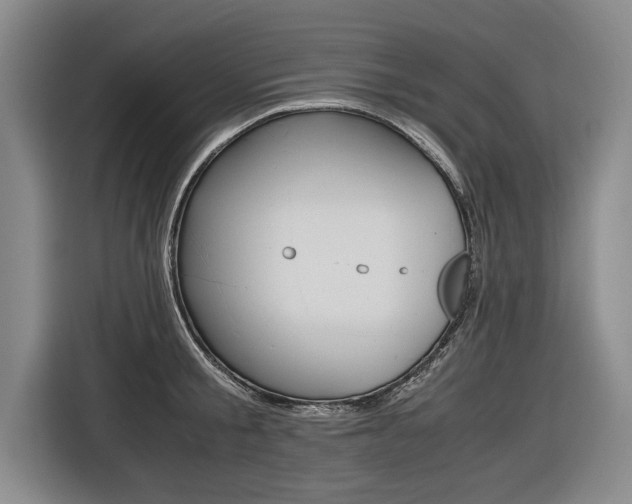 X0000116560805200912100942