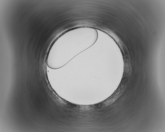 X0000116560807200912100942