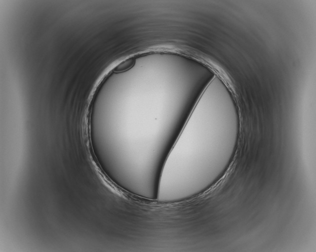 X0000116560808200912100942
