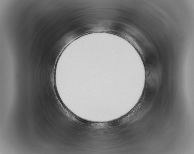 X0000116560810200912100942