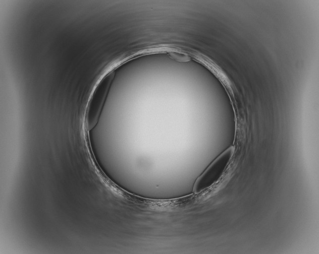 X0000116560813200912100942