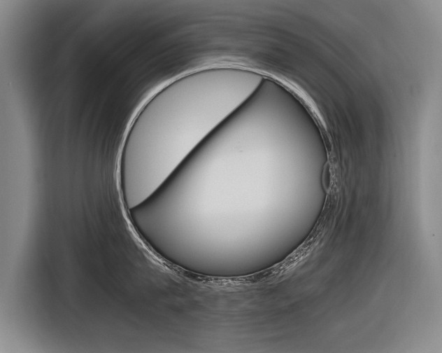 X0000116560815200912100942