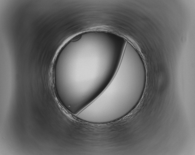 X0000116560816200912100942