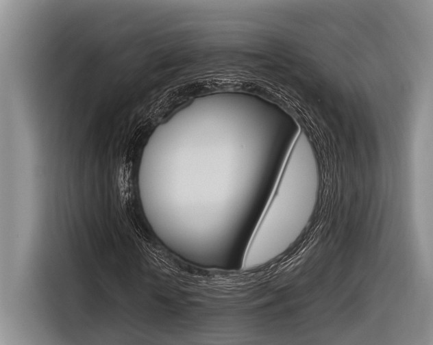 X0000116560818200912100941