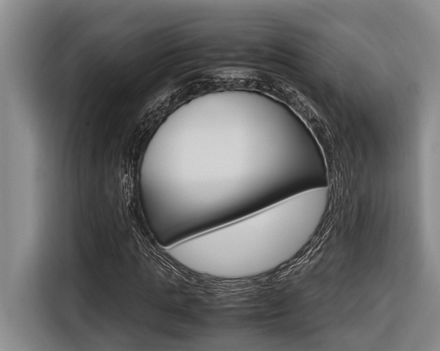 X0000116560821200912100941