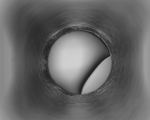 X0000116560822200912100941