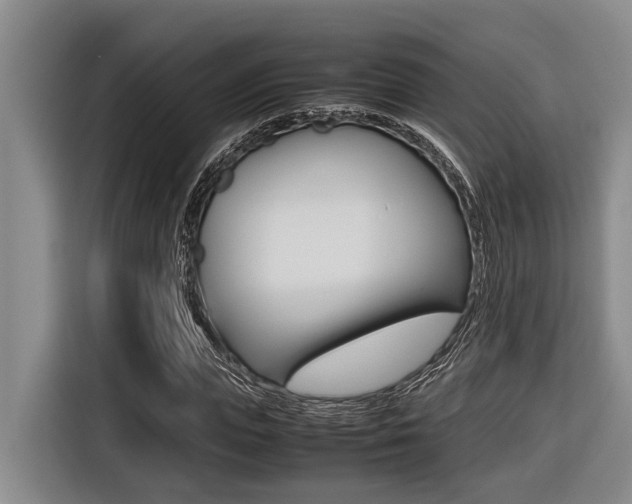 X0000116560823200912100941