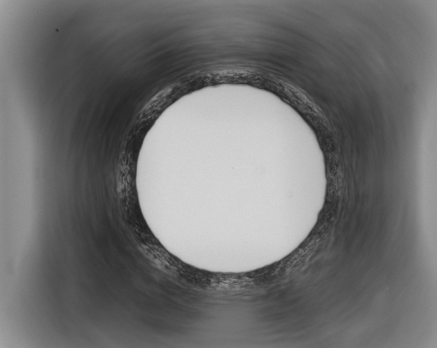X0000116560824200912100941