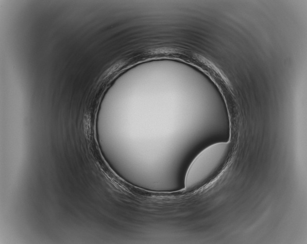 X0000116560825200912100941
