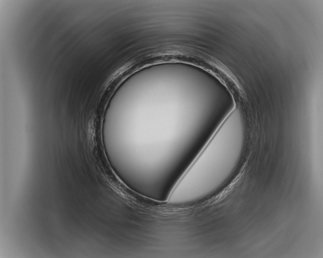 X0000116560826200912100941