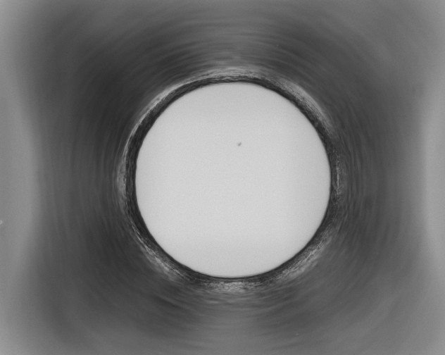 X0000116560828200912100941