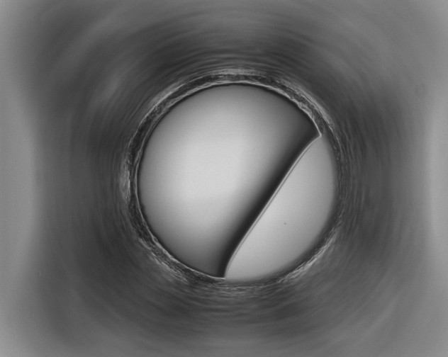 X0000116560829200912100941