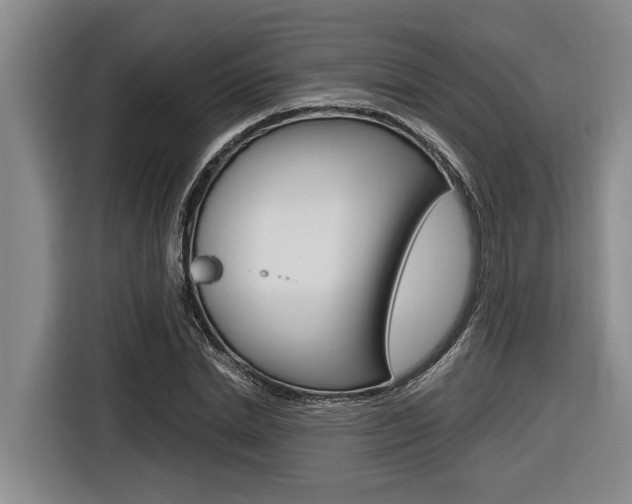 X0000116560830200912100942
