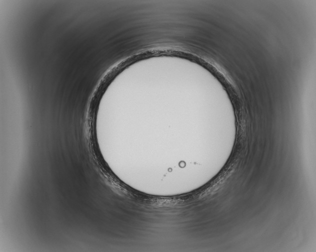 X0000116560832200912100942