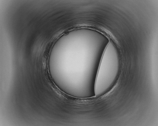 X0000116560833200912100942