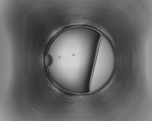 X0000116560834200912100942