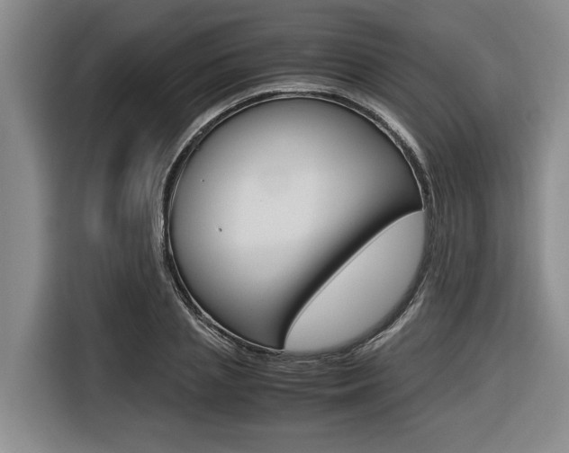 X0000116560837200912100942