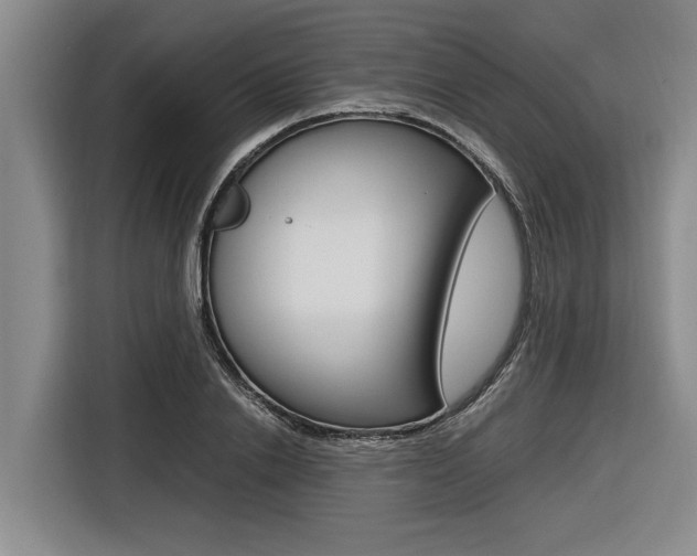 X0000116560838200912100942