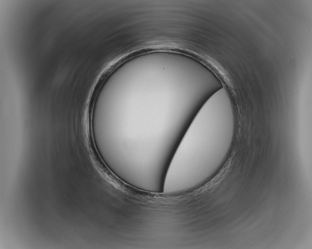X0000116560840200912100942