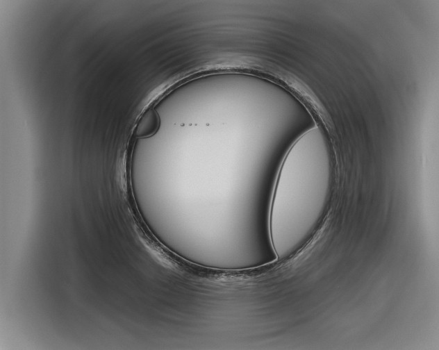 X0000116560842200912100942