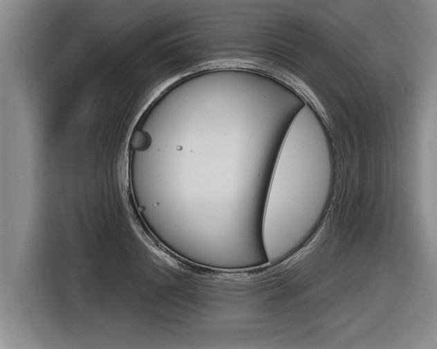 X0000116560844200912100942