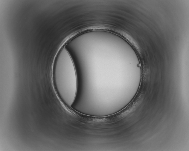 X0000116560845200912100942