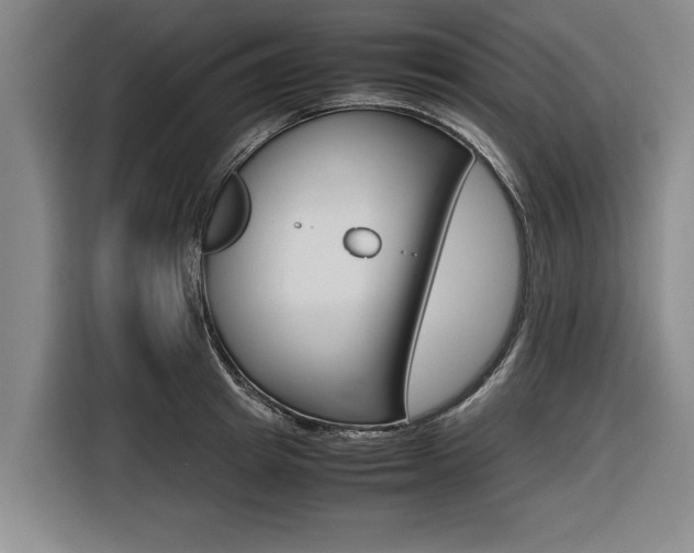 X0000116560849200912100942