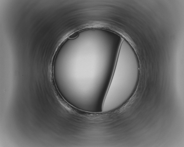 X0000116560850200912100942
