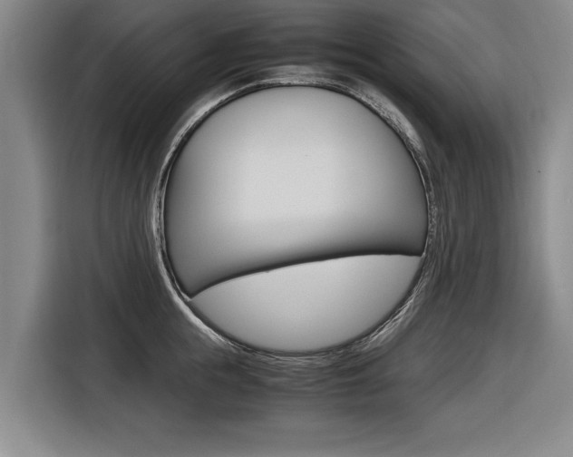 X0000116560855200912100942
