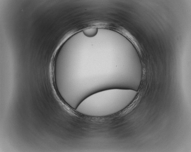 X0000116560859200912100942